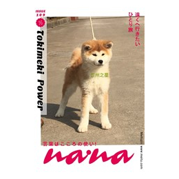 日本秋田犬代理|巨洲犬舍(在线咨询)|秋田犬