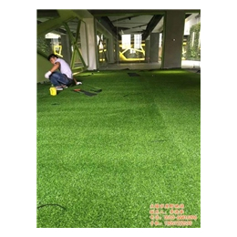 无锡市原野地毯(图)|连云港人造草坪|人造草坪