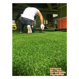 太仓人造草坪|无锡原野地毯(在线咨询)|人造草坪