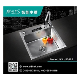 水槽洗碗机_康世界(在线咨询)_西藏集成水槽
