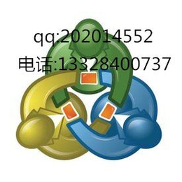 上海出租出售二元期权服务器缩略图