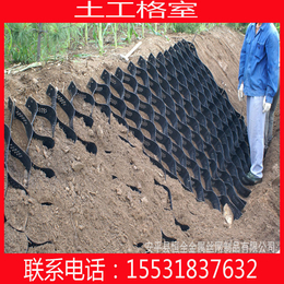 杭州鱼塘护岸蜂巢格栅 植草蜂巢格栅 护坡蜂巢格栅多少钱