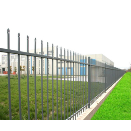 锌钢草坪护栏报价,沃宽88(在线咨询),湘西州锌钢草坪护栏