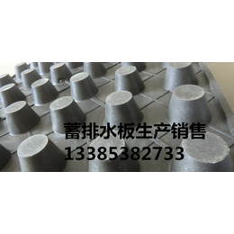 厂家供应+永州塑料顶板排水板代理价格--永州滤水板公司+