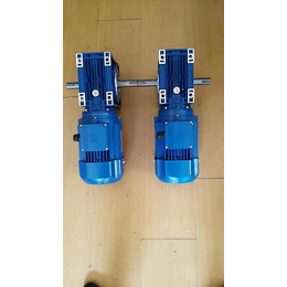 供应双轴输出RV090涡轮蜗杆减速电机 蓝色减速电机图片