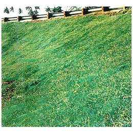 三维网护坡网边坡防护高速路草坪种植*防护网缩略图