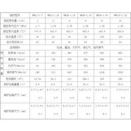 燃气热水锅炉(图),家用热水锅炉,滨州热水锅炉