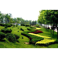 城市园林绿化植物配置