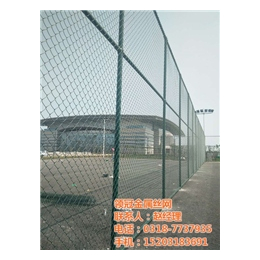 学校操场球场围网,学校操场球场围网价格,运城学校操场球场围网