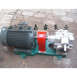辽宁订购不锈钢齿轮泵系列 耐腐蚀不锈钢油泵 嘉睿泵业 