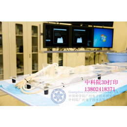 3D打印机透明医疗器械血管模型应用