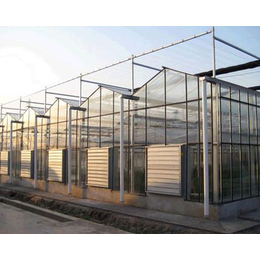水培蔬菜玻璃温室大棚、太原玻璃温室大棚、益兴诚钢构工程公司