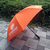 定制广告雨伞、广告雨伞、广州牡丹王伞业缩略图1