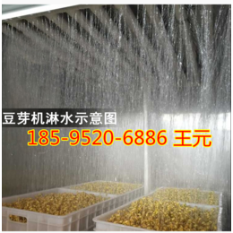青州豆芽机厂家 全自动豆芽机械 全自动商用豆芽机