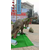 大型恐龙公园商场展览恐龙化石租赁恐龙出售恐龙出售租赁缩略图3