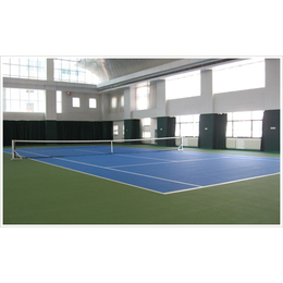 网球场厂家、方康体育(在线咨询)、泰安网球场