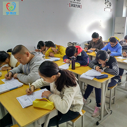 口碑好的初中语文培训学校|新乡学而优(在线咨询)