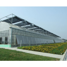日光智能温室、安徽农友温室大棚公司、合肥智能温室