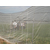 安平县志广丝网制品厂生产各种农业用网规格多价格好种类全缩略图4