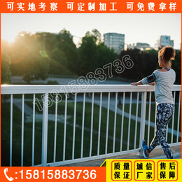 广州桥梁护栏 河道扶手栏杆 深圳道路甲型护栏生产厂