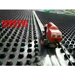 芜湖车库绿化排水板20高排水板厂家