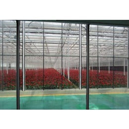鑫华生态农业(多图)|玻璃温室|吴忠温室