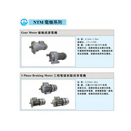 青海NTM电机系列 供应商