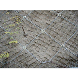 祥驰(图)|边坡绿植网|城口网