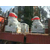 惠安石雕厂家供应2.8米石雕北京狮福建芝麻白花岗岩石材雕刻缩略图2