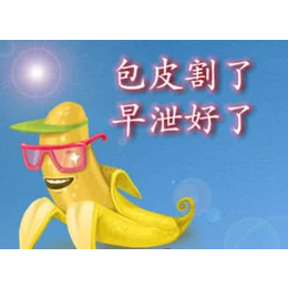 东阳**多少钱