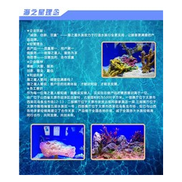 1.2米鱼缸多少钱_鱼缸_海之星水族公司(查看)