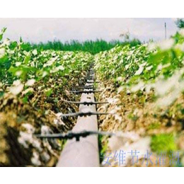 灌溉设备公司,安徽安维,合肥灌溉设备