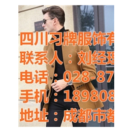 都江堰商务男装_都江堰西服_四川习牌服饰衬衣定做(查看)