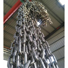 泰安鑫洲机械公司(图),不锈钢链条定做厂家,新昌不锈钢链条