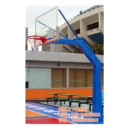 东莞市cba金陵篮球架|大宇体育器材|篮球架