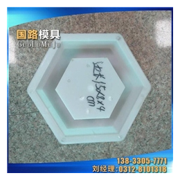 广东塑料护坡模具_国路模具加工厂_塑料护坡模具定做