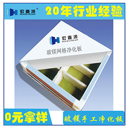 山东宏鑫源(图),50mm净化彩钢板报价,净化彩钢板