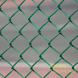 内蒙古足球场可移动围栏包塑网