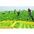 宏鸿农产品集团(图)|苏州食堂蔬菜配送公司|蔬菜配送公司缩略图1