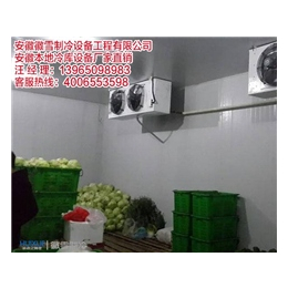 蔬菜冷库设备,合肥蔬菜冷库,安徽徽雪(多图)