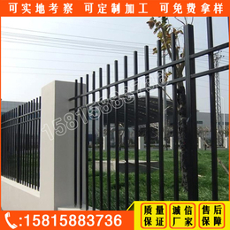 佛山学校围墙栏杆定做 江门锌钢护栏加工厂 江门花园铁艺围栏