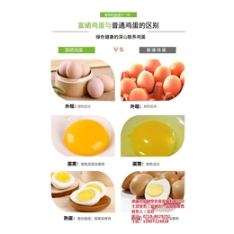 土鸡蛋的营养价值、东莞土鸡蛋、知硒堂-恩施特产(查看)