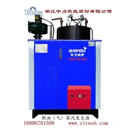 木质蒸汽发生器、浙江中力质量为本、木质蒸汽发生器厂