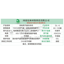 新型蒸汽洗车机_青海蒸汽洗车机_东林环保公司(查看)