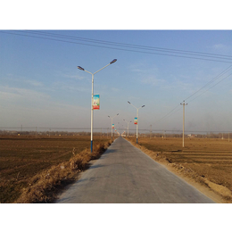 河北省廊坊市太阳能路灯厂家长期供应米30W LED太阳能路灯