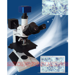 粉煤灰显微镜-粉煤灰检测显微镜-性能-参数-报价-价格