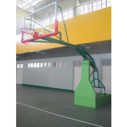 银芝体育(图)|升降篮球架|甘肃篮球架