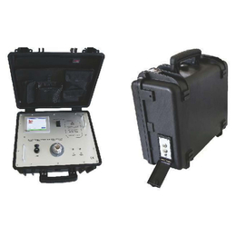 EDK  6900 便携式jiguang气体分析仪