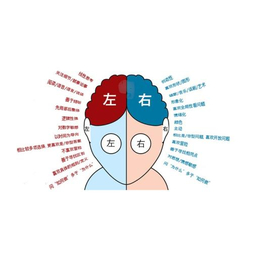 隆成义记忆学需要几天、萍乡记忆学、*训练方法(查看)