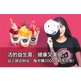低脂酸奶冰淇淋代理_低脂酸奶冰淇淋_爱咪优